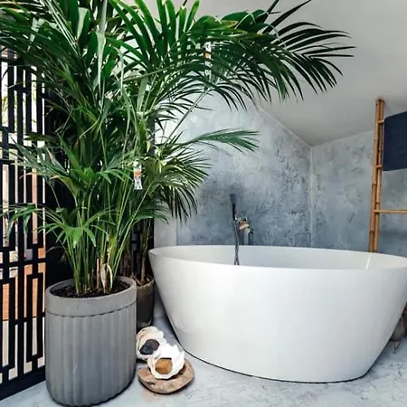 Centrum 120 M アパート *